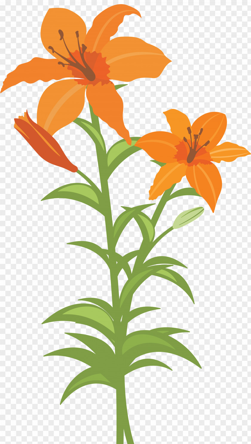 Yellow Flowers Cut Lilium Clip Art PNG