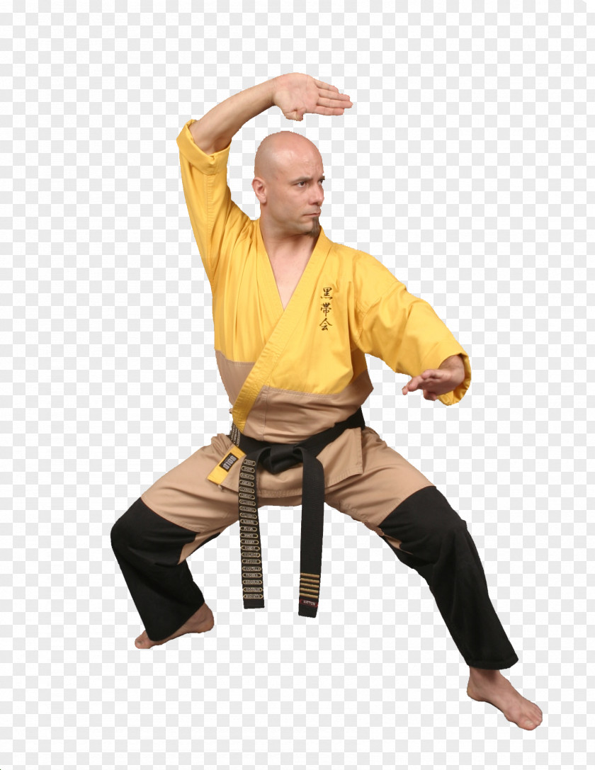 Mixed Martial Artist Shaolin Monastery Kung Fu Arts Karate PNG