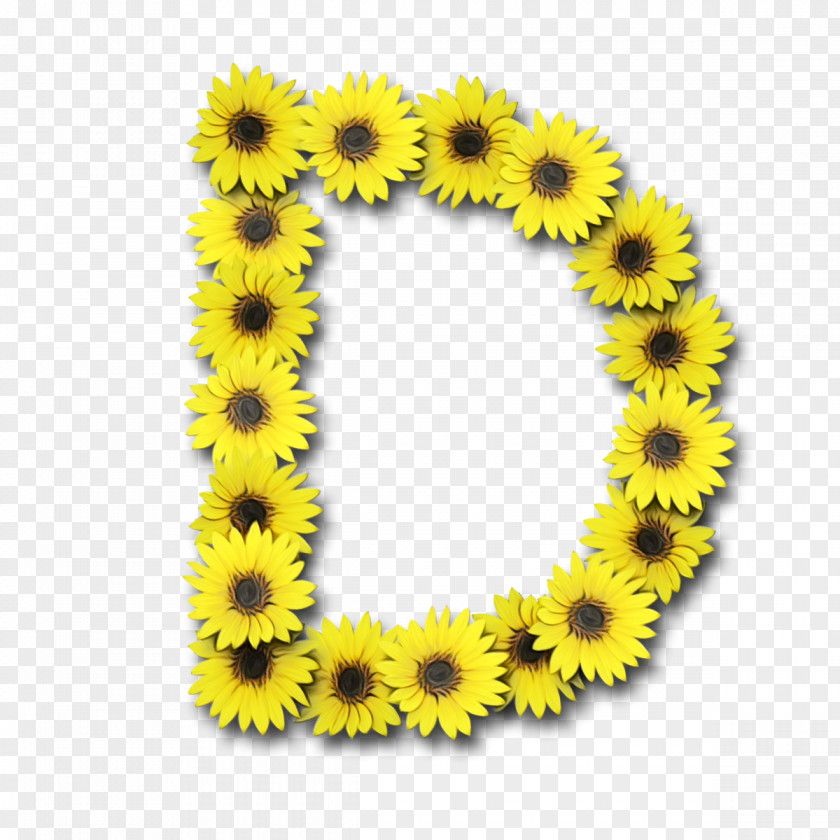 Smile Daisy Family Sunflower PNG