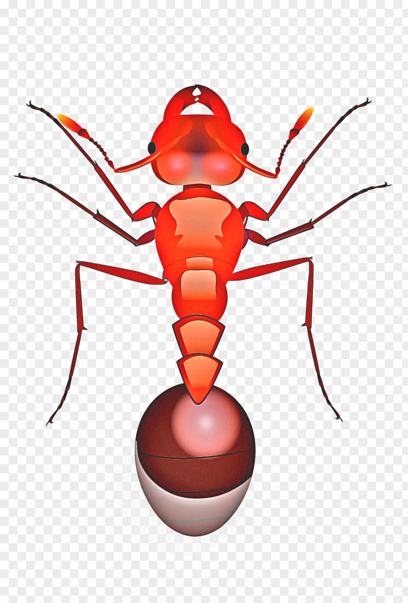 Termite Pest Fire Drawing PNG