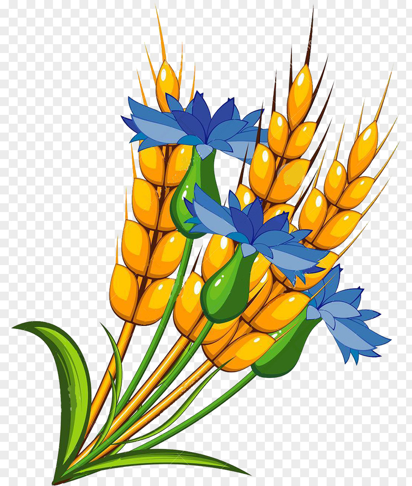 Wheat Royalty-free Drawing PNG