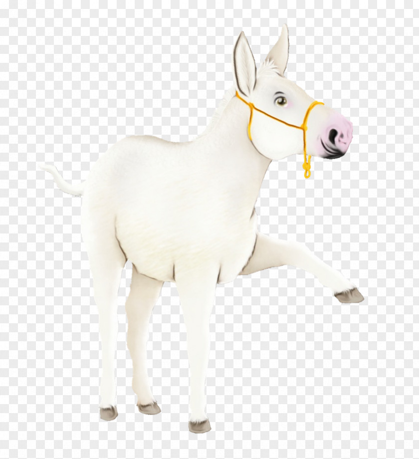 Animal Figure White Burro Snout Horse PNG