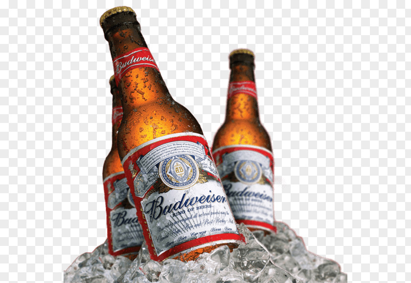Beer Budweiser Budvar Brewery Anheuser-Busch InBev PNG