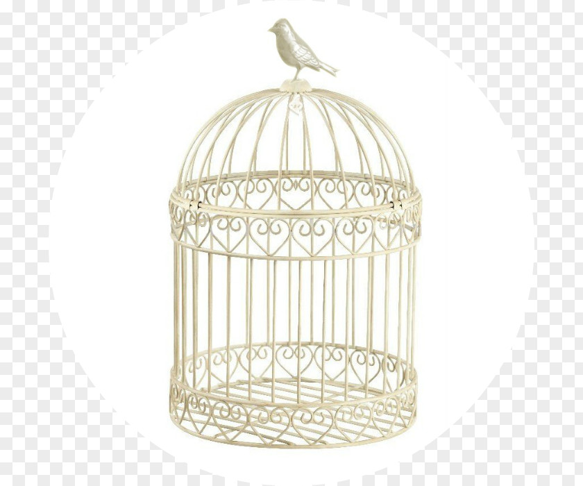 Bird Birdcage Nest Box Feeders PNG