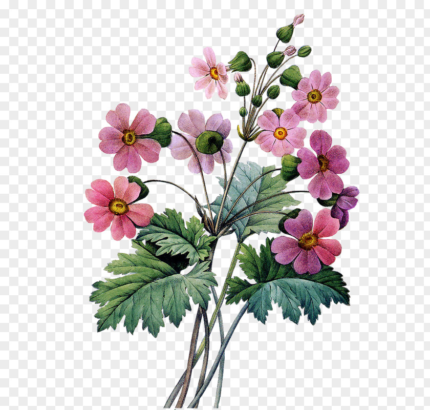 Flower Abziehtattoo Bouquet Floral Design PNG
