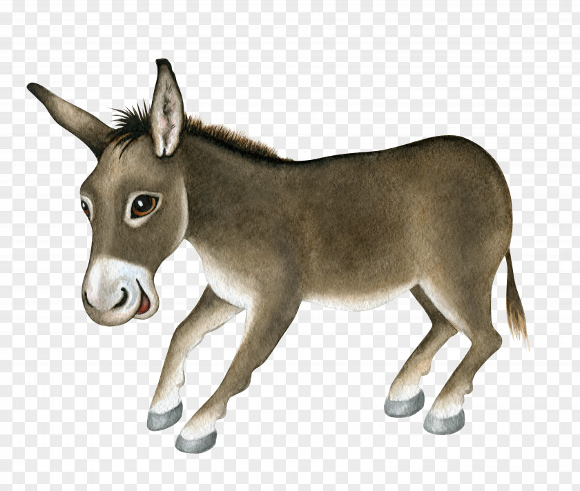 Little Donkey Dominick The Stock Illustration PNG