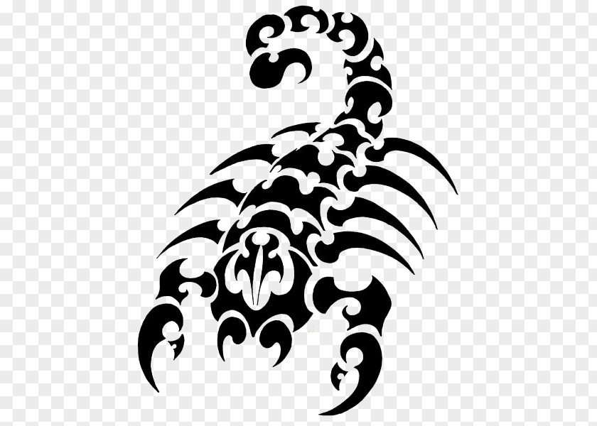 Tribal Black Scorpion Tattoo Clip Art Artist Designs From The America's PNG