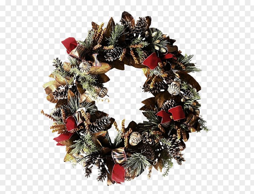 Christmas Decoration Ornament Wreath Evergreen PNG