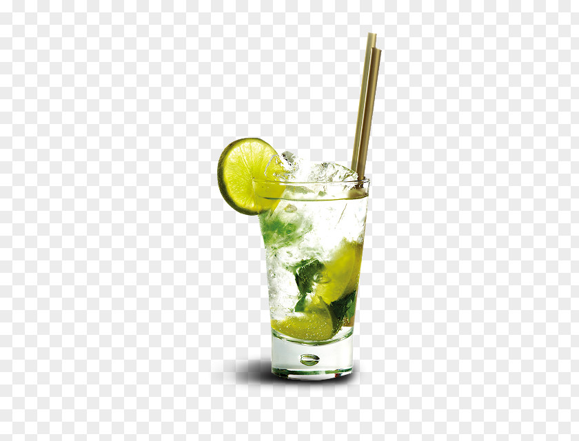 Rickey Gin And Tonic Straw Background PNG