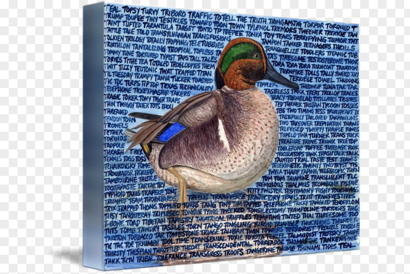 Teal Curtains For Living Room Mallard Fauna PNG