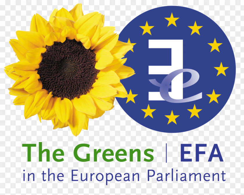 Ale Greens–European Free Alliance European Union Member Of The Parliament PNG