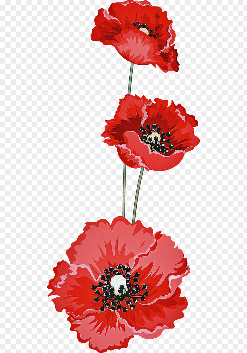 Artificial Flower PNG