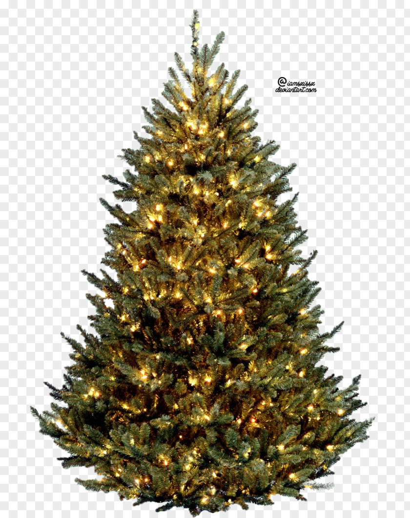 Christmas Tree Display Resolution Desktop Wallpaper PNG