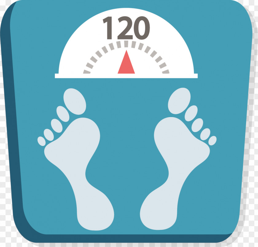 Flat Weight Scale Android Application Package Body Mass Index PNG