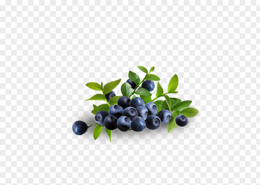 Grape Dietary Supplement Bilberry Blueberry Herb Fruit PNG