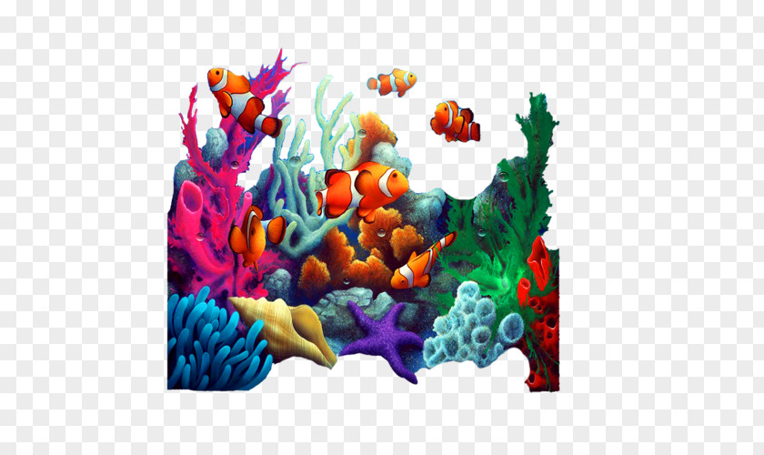 Painting Photography Coral Mural PNG