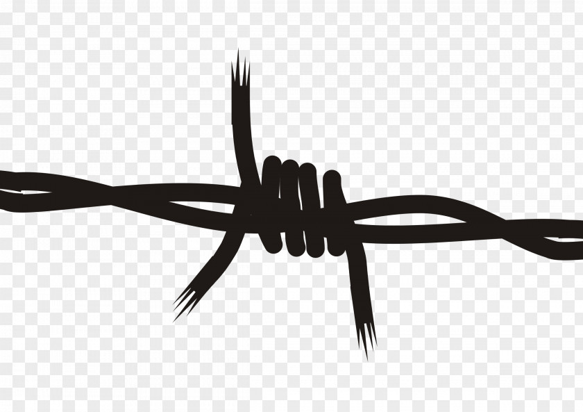 Barbwire Barbed Wire Clip Art PNG