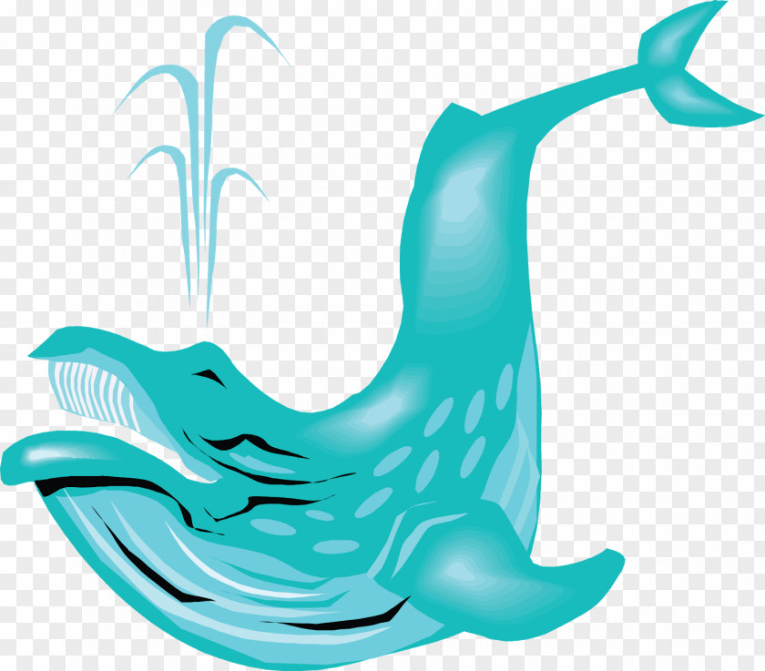 Dolphin Image Cetacea Clip Art PNG