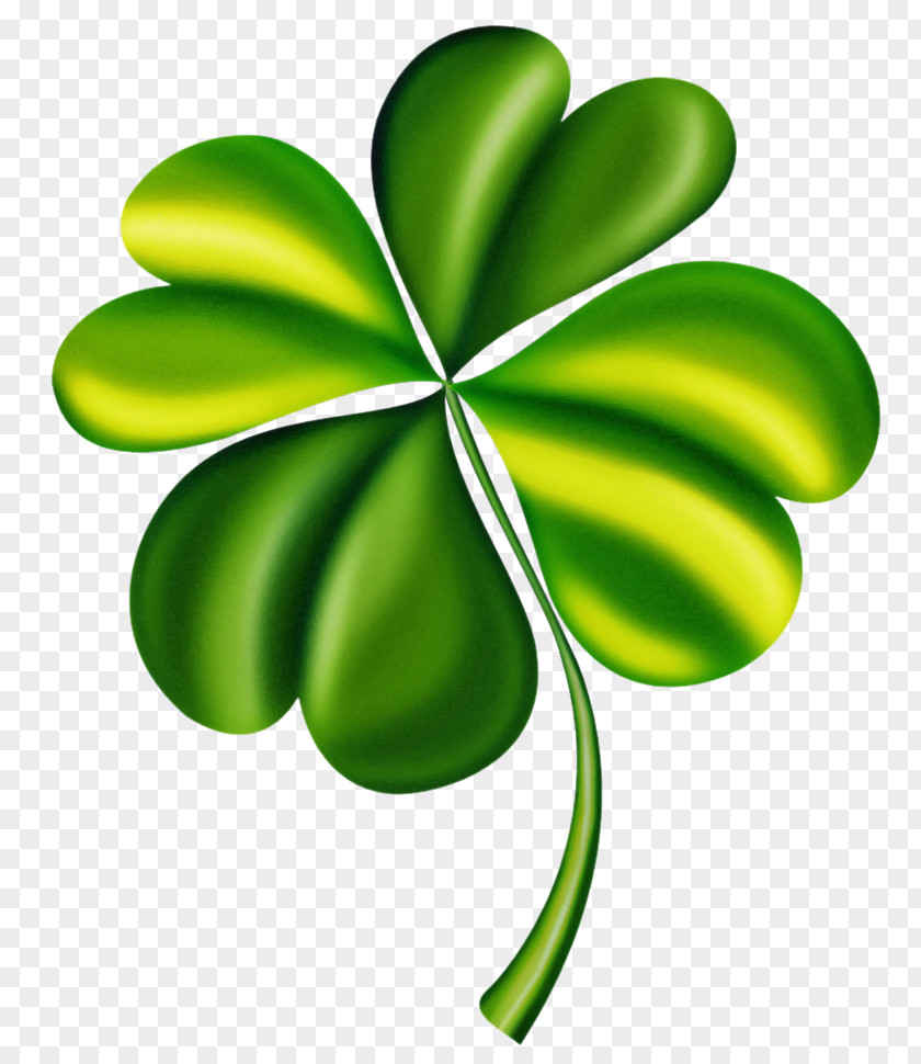 Green Leaf Plant Symbol Clover PNG