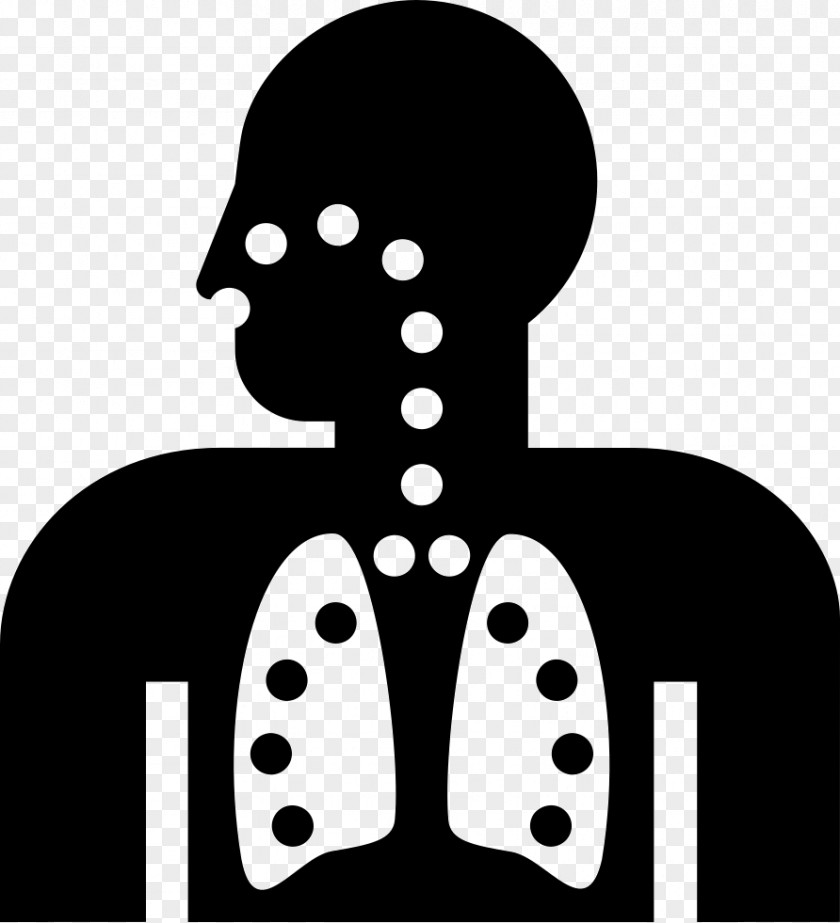 Lungs Lung Cancer Mesothelioma Asbestos PNG