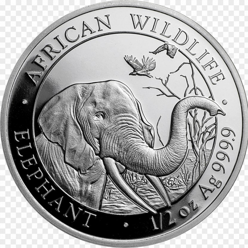 Silver Bar Somalia Bullion Coin PNG