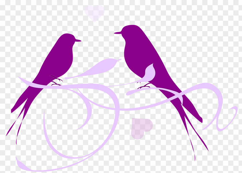 Wing Perching Bird Violet Purple Branch Silhouette PNG