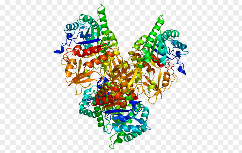 CHI3L1 Chitinase Gene Biomarker Protein PNG