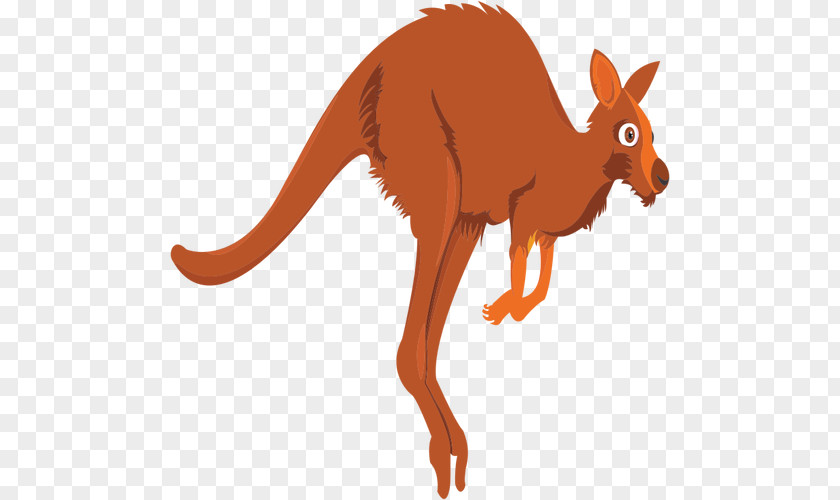 Kangaroo Red Clip Art PNG