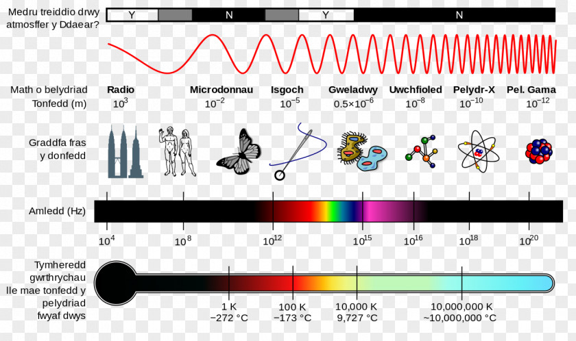 Light Electromagnetic Spectrum Radiation Wave Electromagnetism PNG