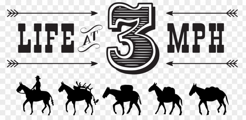 Mustang Estes Park Mule Logo Clip Art PNG