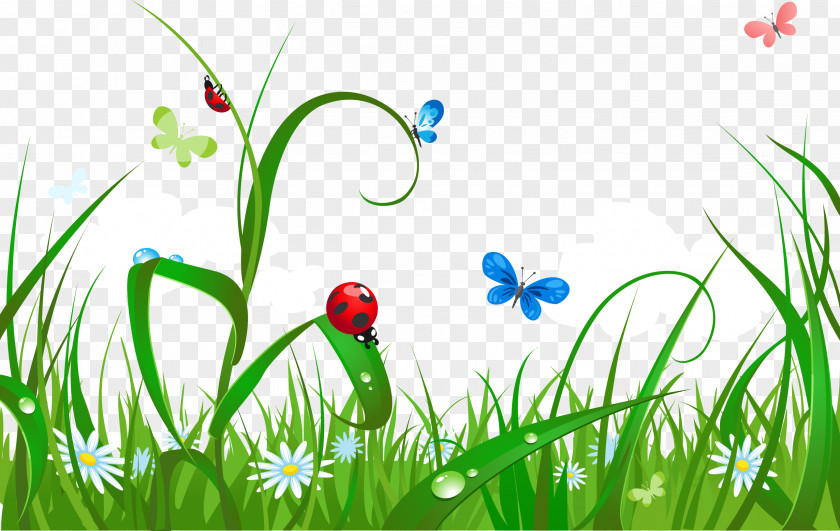 Small Fresh Green Grass Royalty-free Illustration PNG