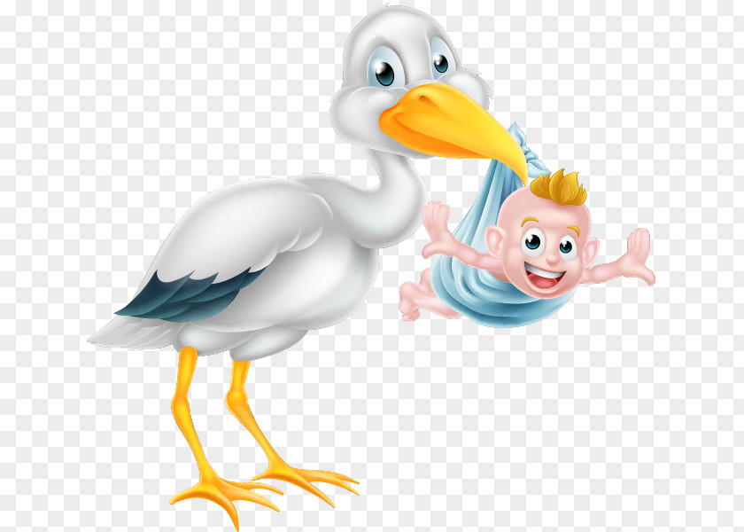Stork Infant Childbirth PNG