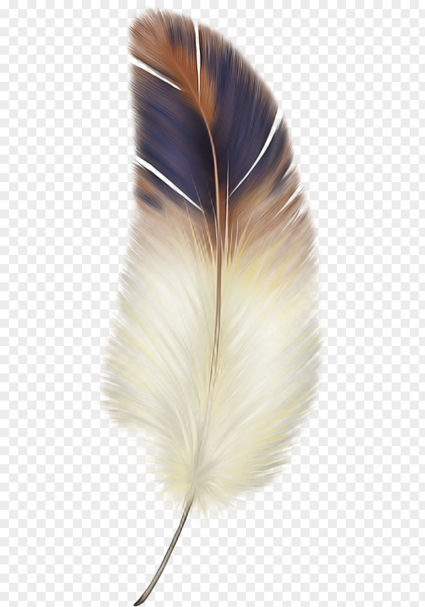 Tail Beige Feather PNG