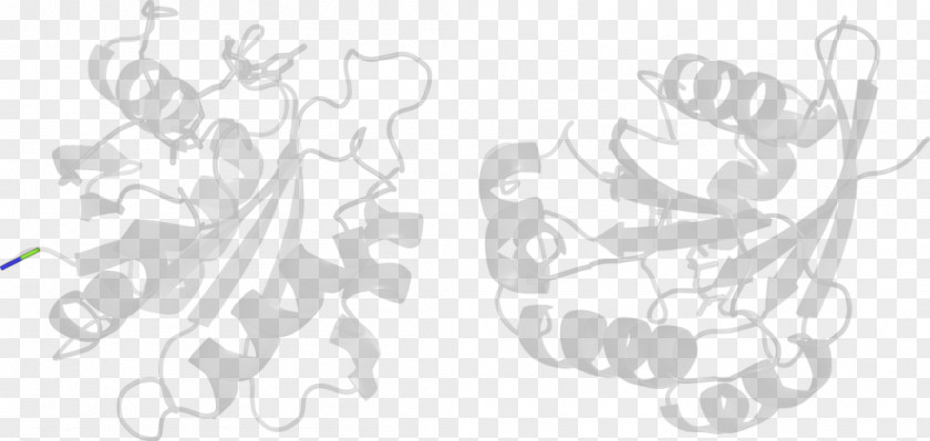 Design Line Art White Clip PNG