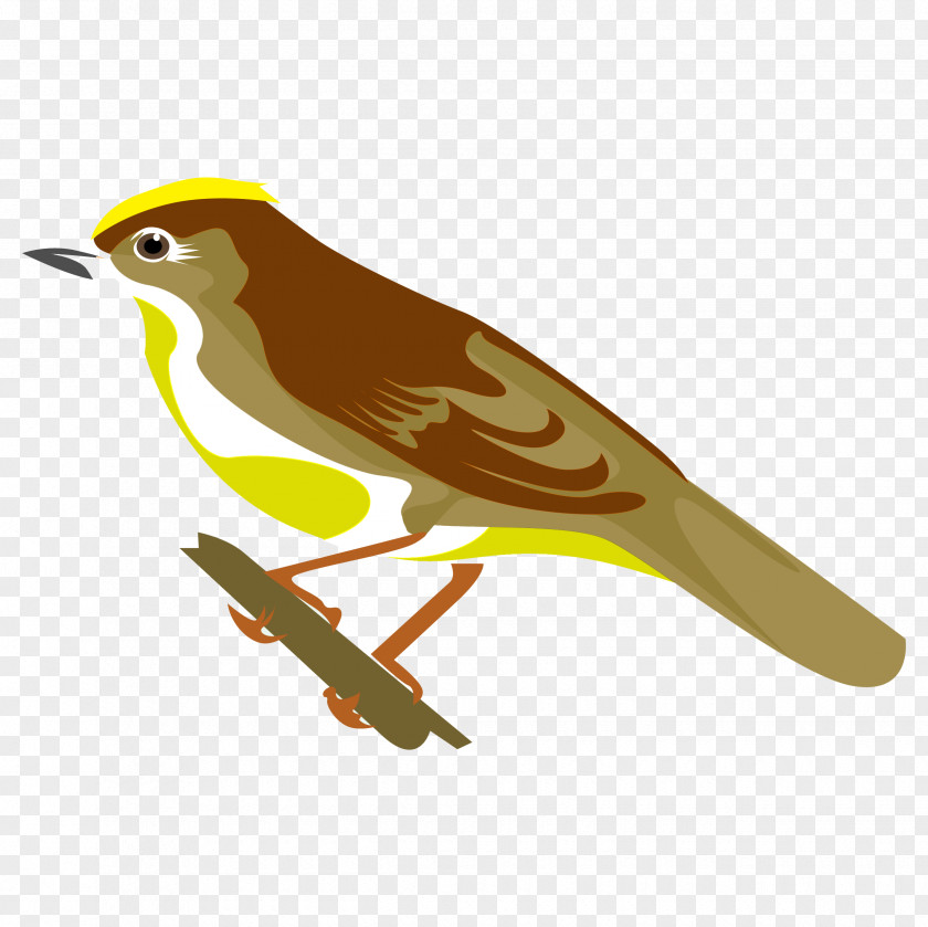 Feather Eurasian Golden Oriole Finches Lark Common Nightingale Old World PNG
