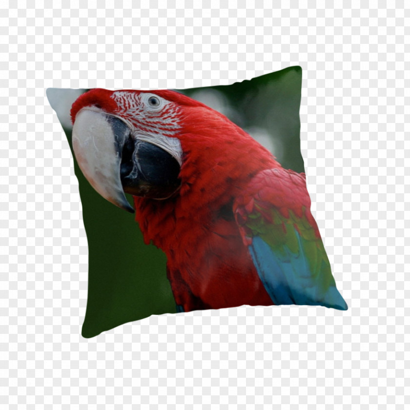 Pillow Cushion Throw Pillows Down Feather Couch PNG