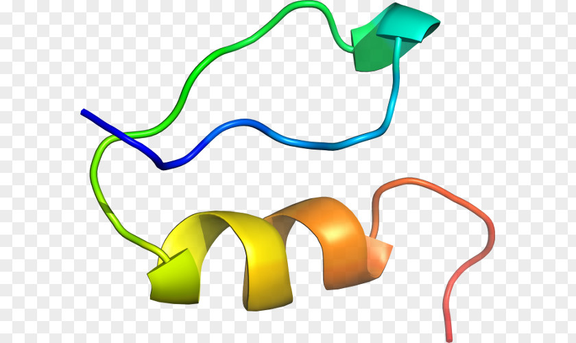 Technology Line Clip Art PNG