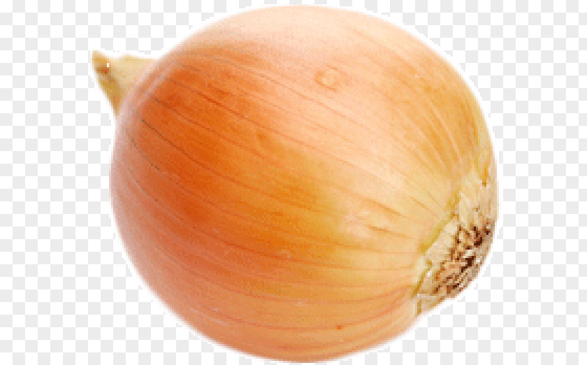 Yellow Onion Shallot Red PNG