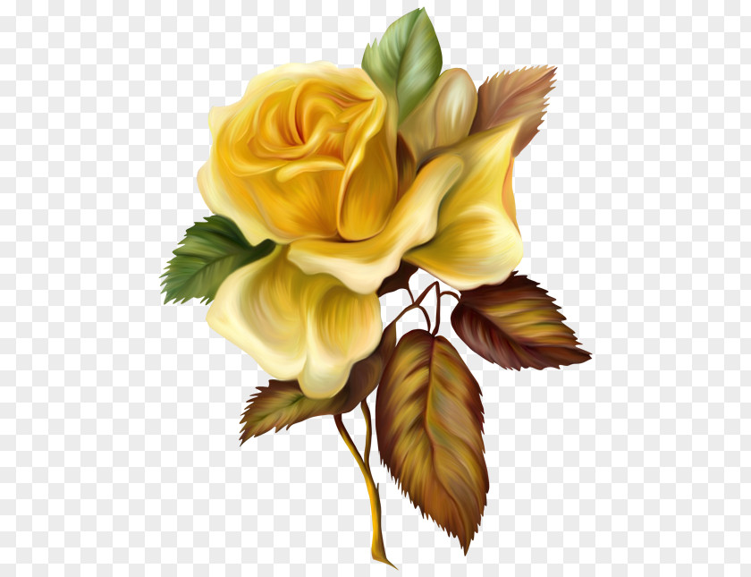 Yellow Rose Painted Picture Clipart Painting Oil Paint PNG
