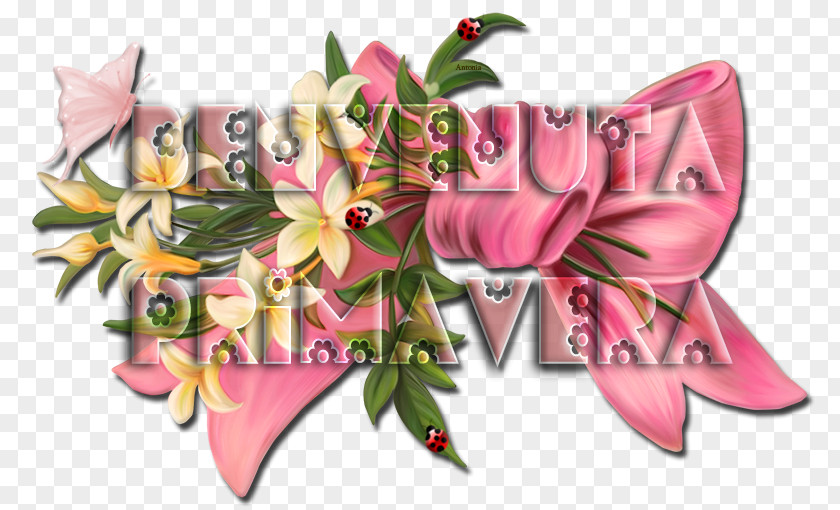 Flower Floral Design Cut Flowers Bouquet Pink M PNG