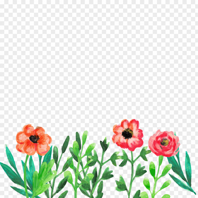 Hand Painted Flower Illustration Design Elements PNG