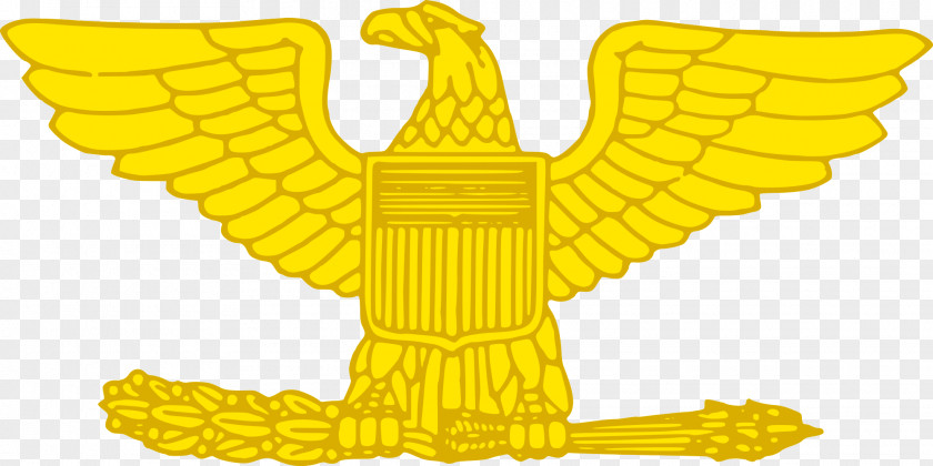 Winged Eagle Insignia Lieutenant Colonel United States Marine Corps Rank Military Officer Cadet PNG