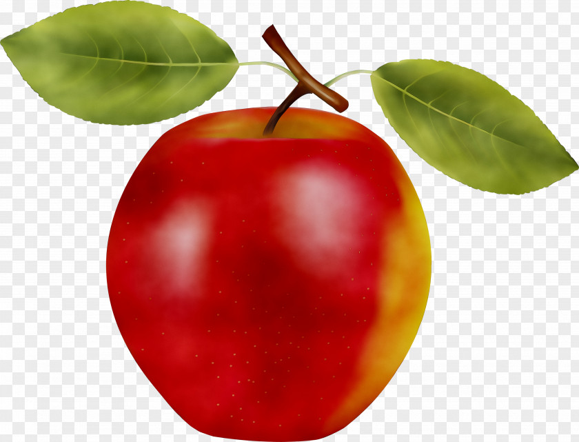 Barbados Cherry Apple Fruit PNG