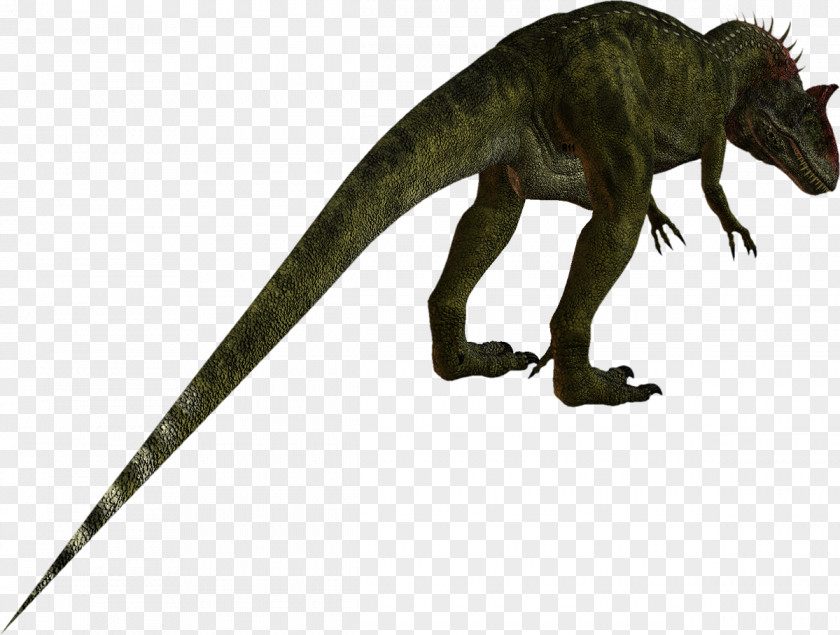 Dinosaurs Tyrannosaurus Velociraptor Reptile Dinosaur Terrestrial Animal PNG