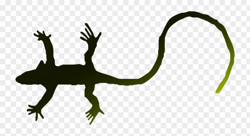 Gecko Frog Lizard Terrestrial Animal Dinosaur PNG