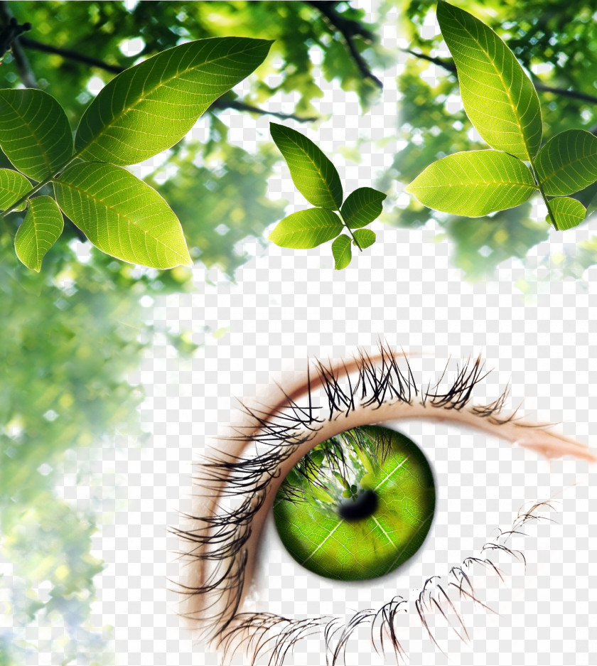 Green Leaf Background Eye Pattern Human Illustration PNG