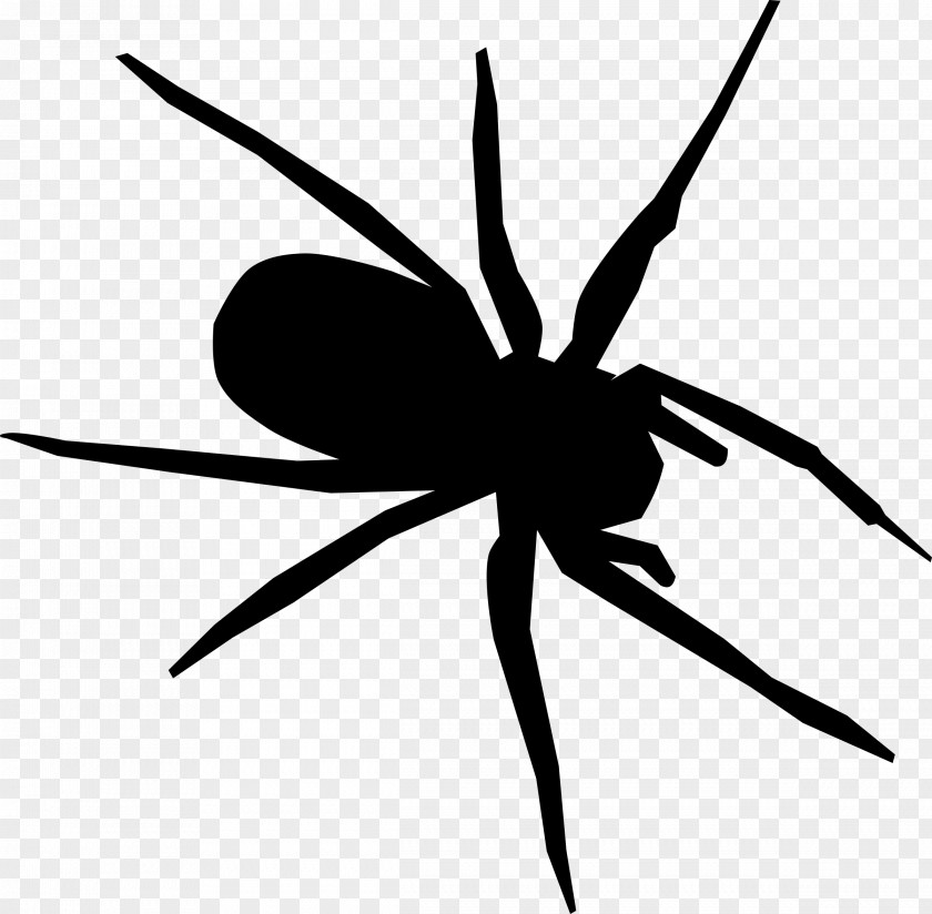 Spiders Vector Silhouette Clip Art PNG