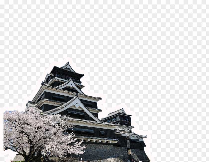 Building Cherry Kumamoto Castle Europe Blossom Teaching English As A Second Or Foreign Language PNG