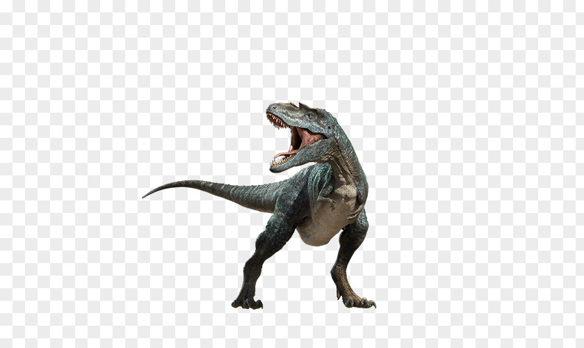 Dinosaur Tyrannosaurus PNG