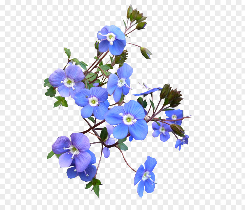 Flower Cut Flowers T-shirt Bouquet Blue PNG